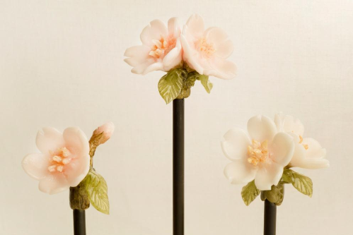 thuong-thuc-nhieu-mon-ngon-lam-tu-hoa-anh-dao-1