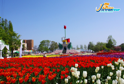 Vietrantour ưu đãi tour trong và ngoài nước đến 13 triệu đồng